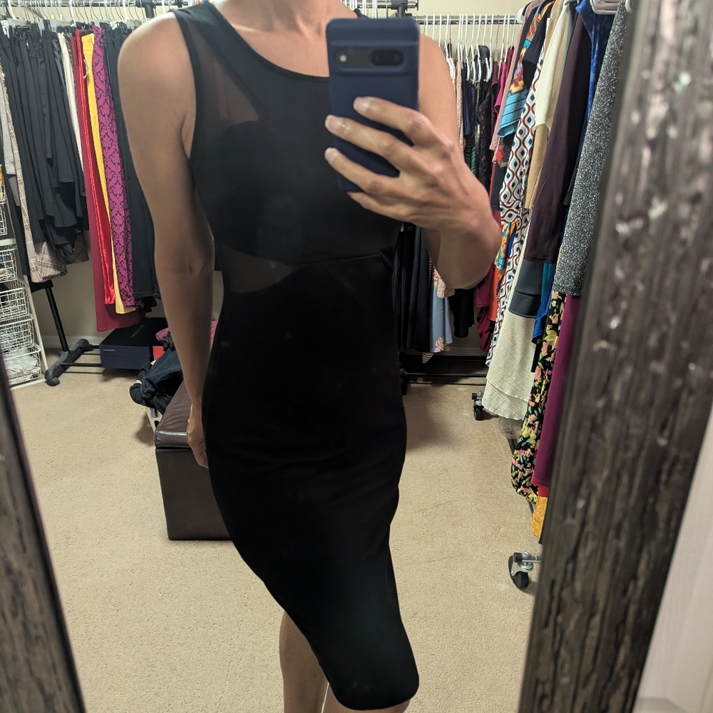 Sheer Panel Dress